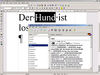 Screen shot of a StarOffice 6.0 document containing the German text "Was ist los? Der Hund ist los.", in which the word
"Hund" has been selected, with the Wordfinder window in the foreground.